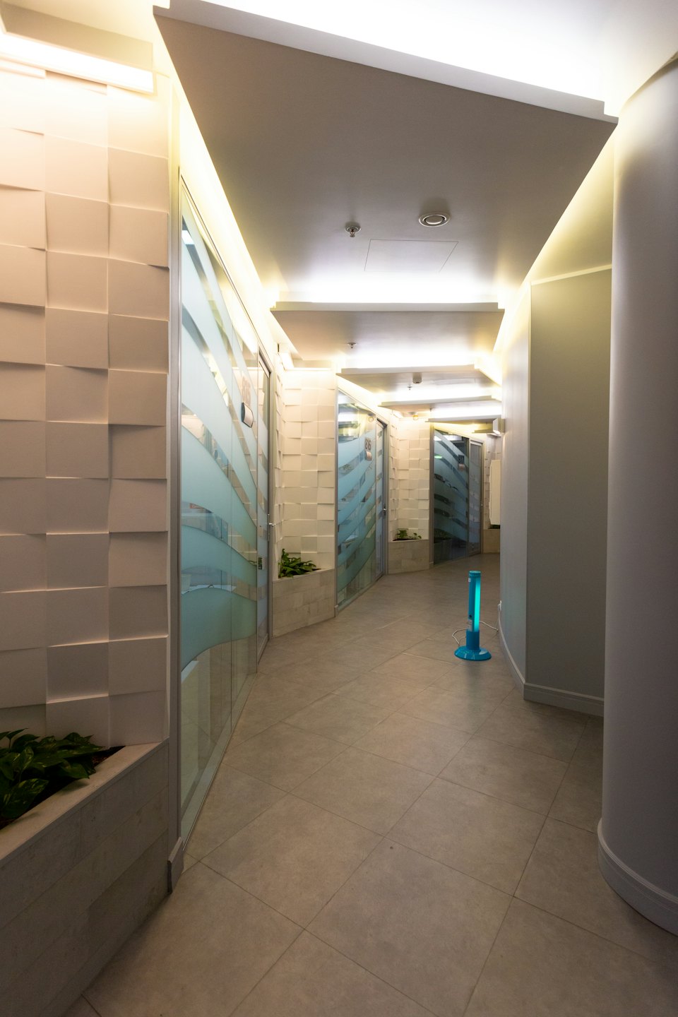 Modern hallway with glass-fronted rooms and plants.